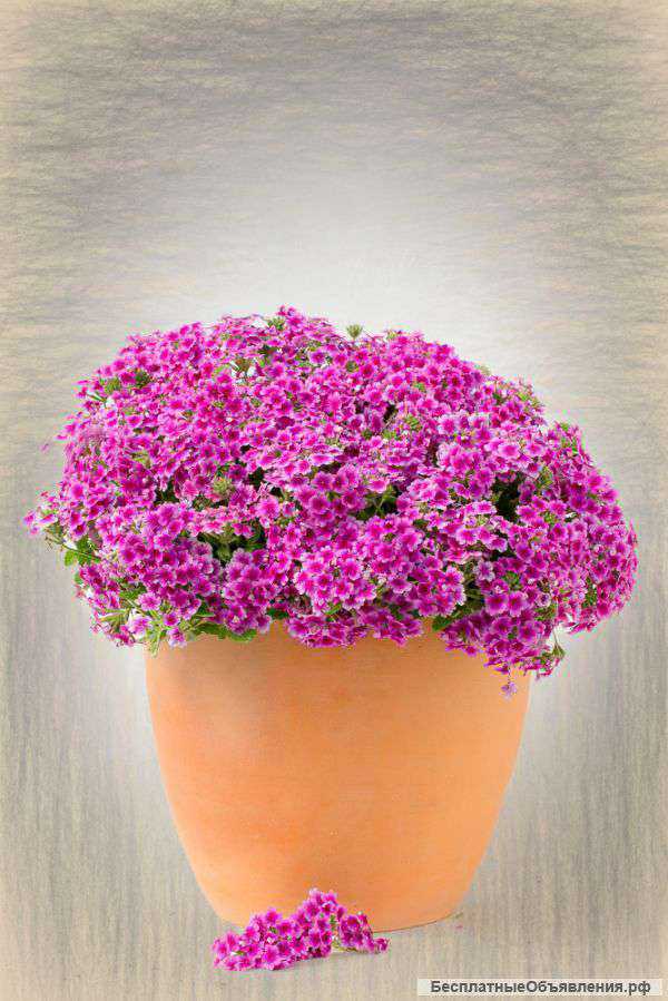 Предметная фотосъёмка