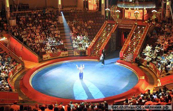 Билеты в цирк Никулина на Цветном бульваре