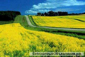 Земли в Украине, Киевская обл