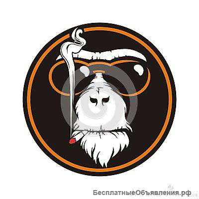 Группа в вк