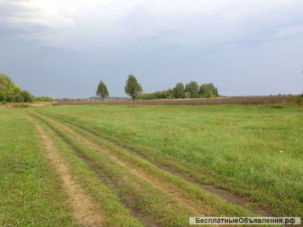 Земельный участок 50 соток