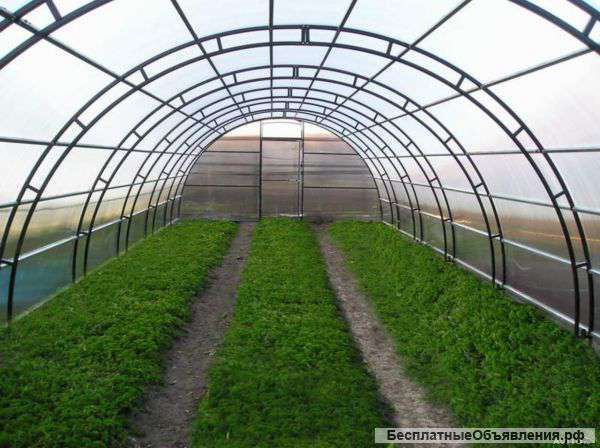 Теплицы из поликарбоната. Огромный выбор моделей