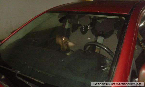 Установка автостекл