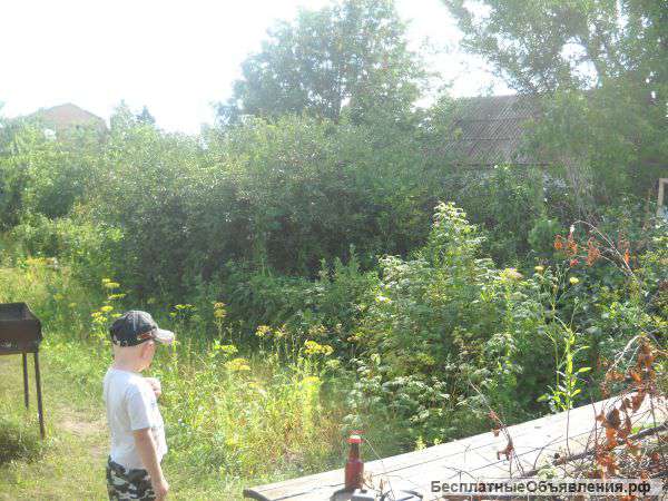 Дачу критично