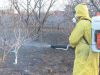 Химическая обработка растений