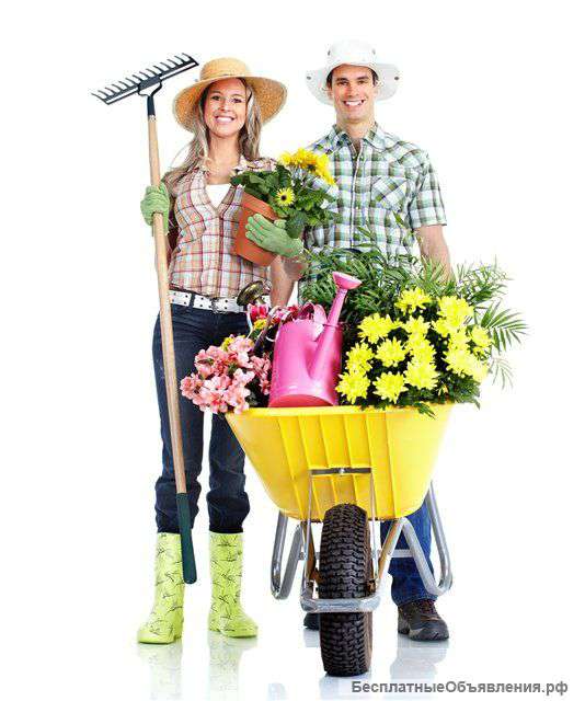 Консультация Агронома