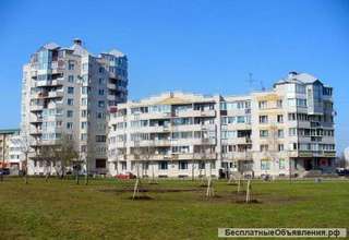 Помещение свободного назначения (детский центр), 137. 4 м²