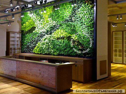 Фитостены и фитомодули Green Sky