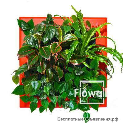 Фитокартины и фитомодули Flowall