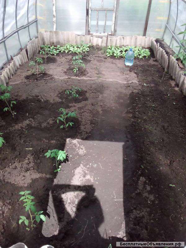 Участок 4 сотки плотниково