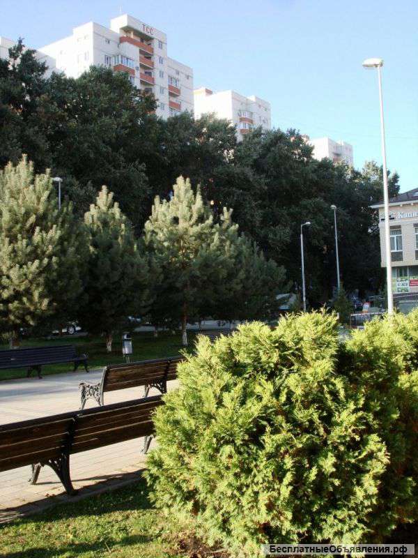 1 к кв 44,07 м2, свидетельство