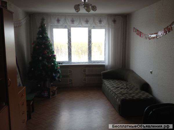 3-х комнатную квартиру