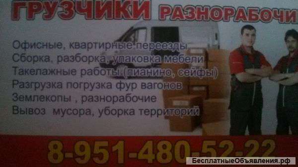 Грузчики-Разнорабочие