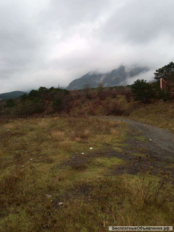 Собственник 1га Ялта