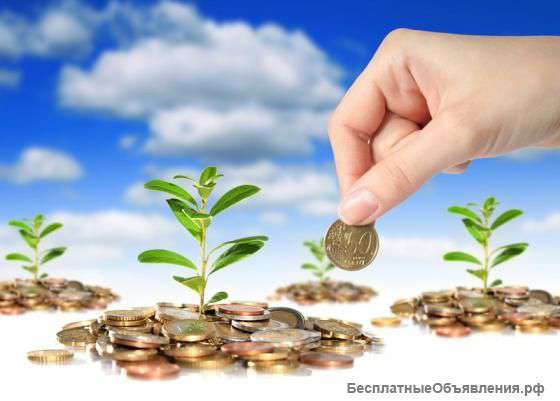 Школа инвесторов