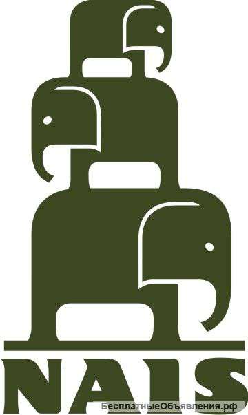 Требуется главный бухгалтер