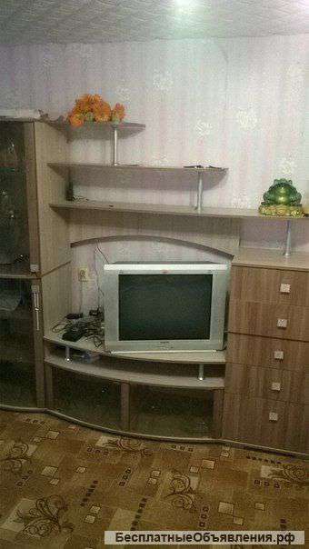 Стенка бежевая под дерево