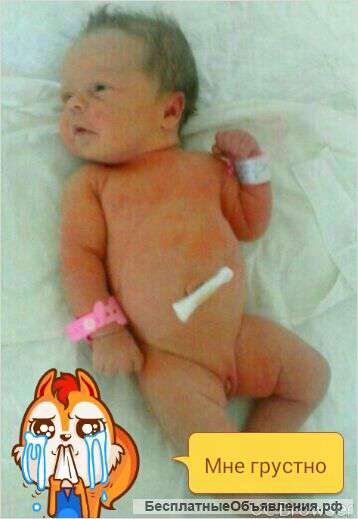 Нужна помощ