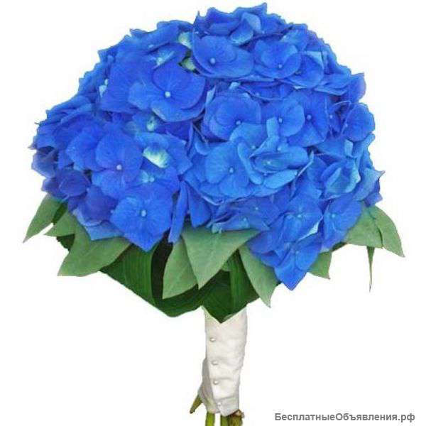 Гортензия в букете