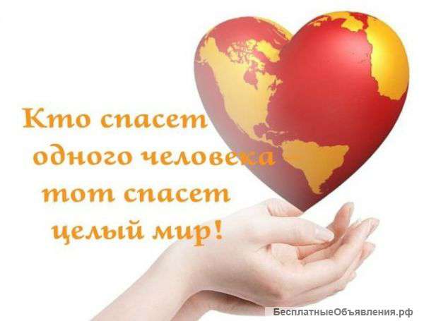 Персональное сопровождение