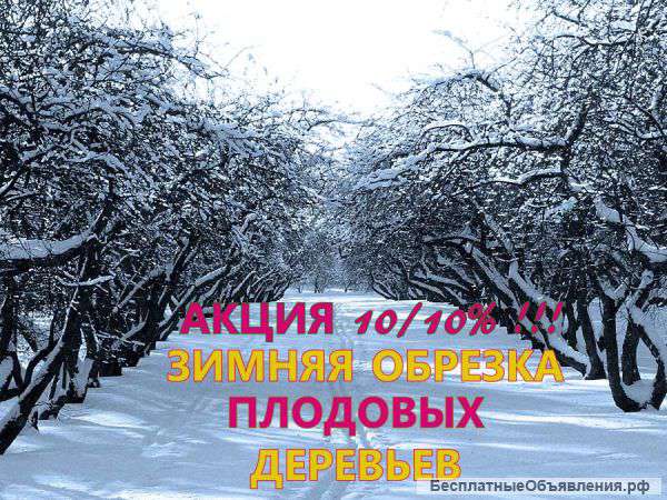 Обрезка плодовых деревьев и кустарников