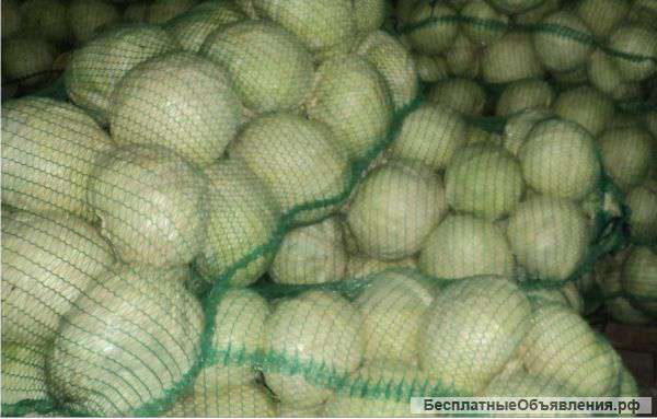 Капусту оптом