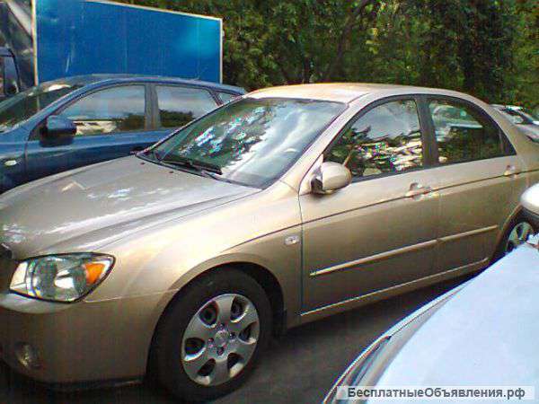 Киа серато + НисанПримьера-универсал-вагон