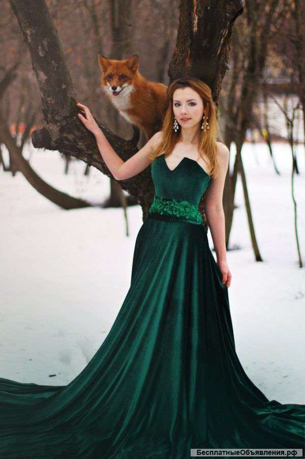 Животные на фотосессию