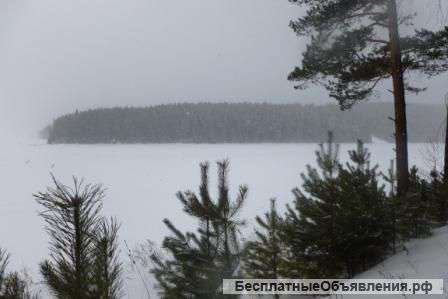 Землю ИЖС Шумиха