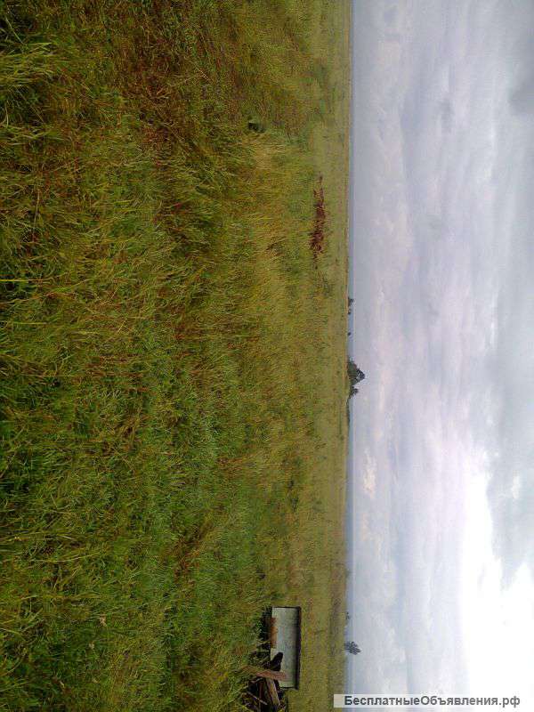 АЛТАЙ земля под коммерческуюм застройку