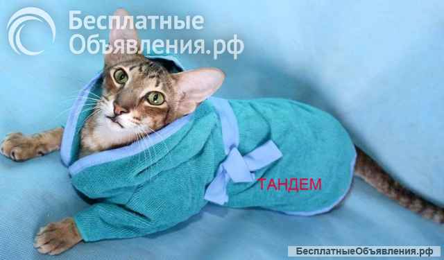 Микрофибра. Попонки, полотенца и подстилки для животных.
