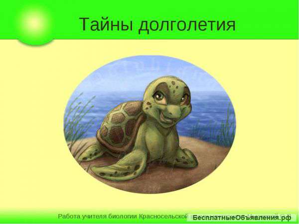 Нет старости, нет слепоте