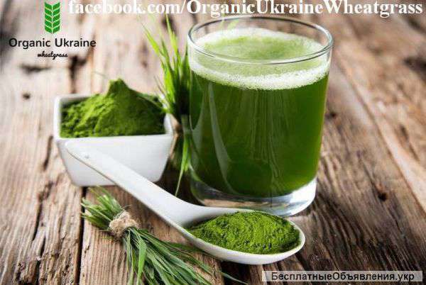 100% натуральный Сок ростков пшеницы