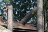 Спил, Валка и обрезка деревьев в СПБ и ЛО. Звоните, договоримся