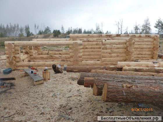 Срубы домовые и банные