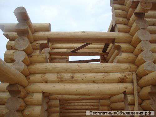 Рубленные бани из кедра