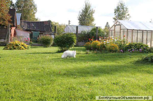 Дом для отдыха