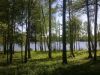 Лесной участок на водохранилище