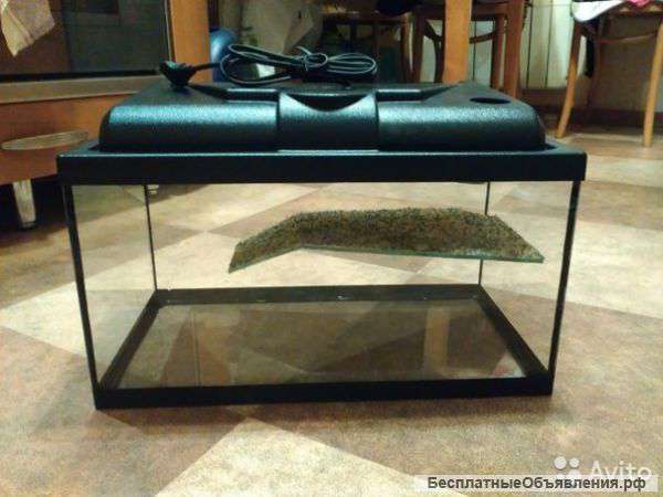 Вещи для черепашки