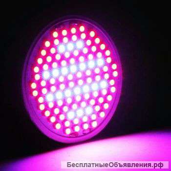 Ультрафиолетовая лампа