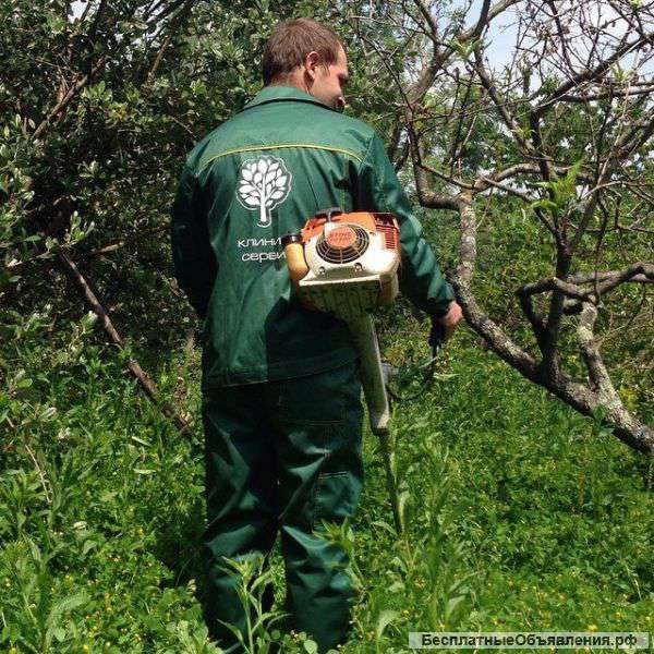 Покос травы