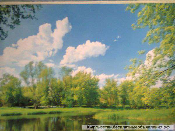 Евроремонт