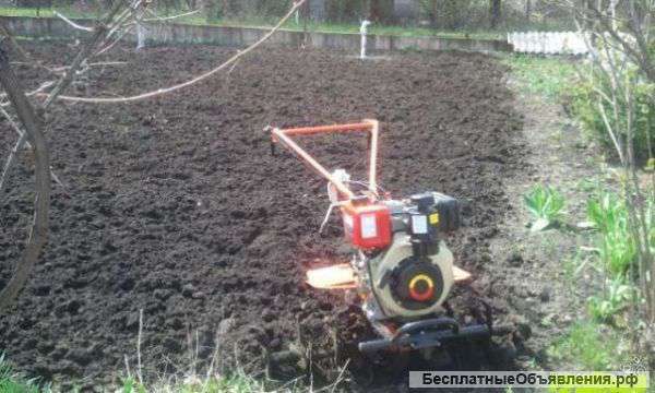 Озеленение