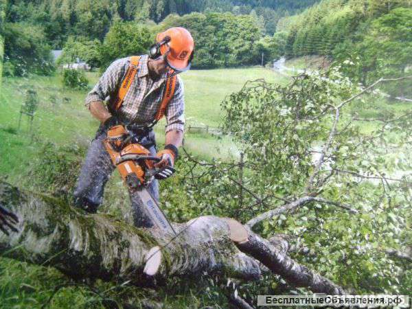 Озеленение