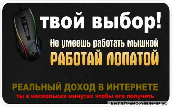 Директор собственного интернет-магазина