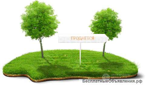 ППА от КИО на земельный участок для размещения спортивных комплексов