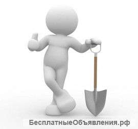 Набор сотрудников в прибыльный бизнес