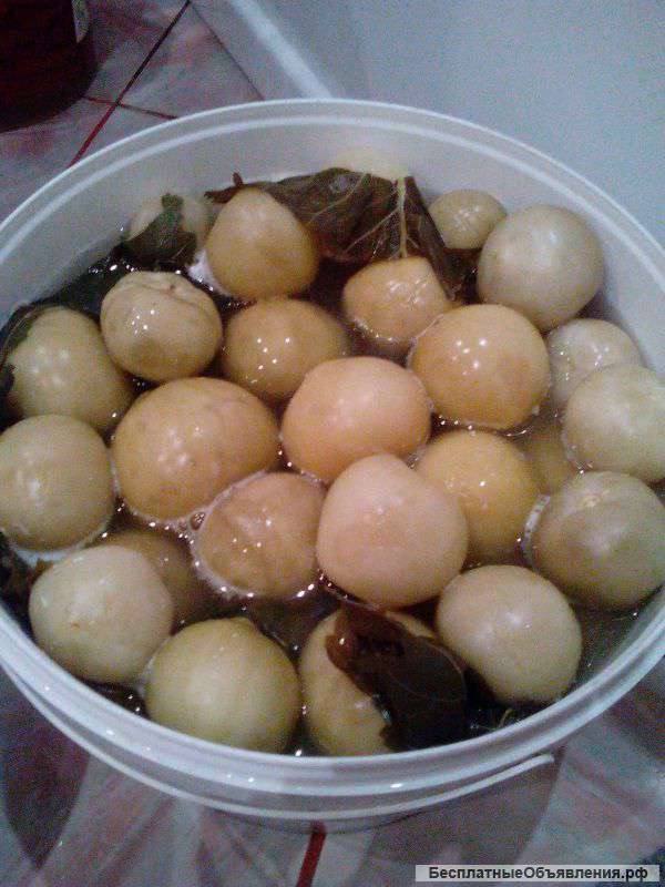 Бочковой зелёный помидор