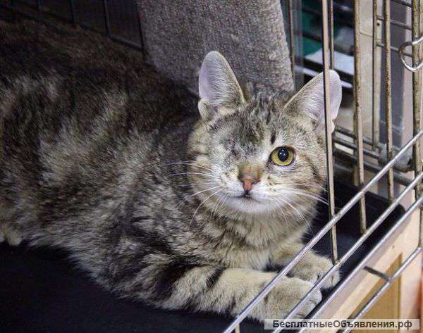 Очень нужен дом чудесному,ласковому малышу