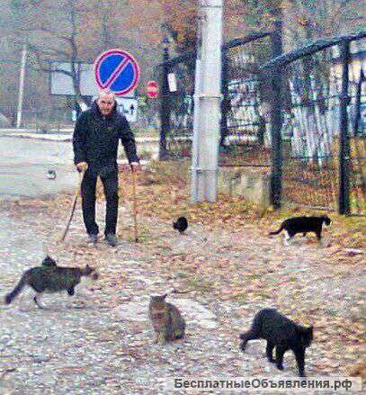 Требуется материальная помощь